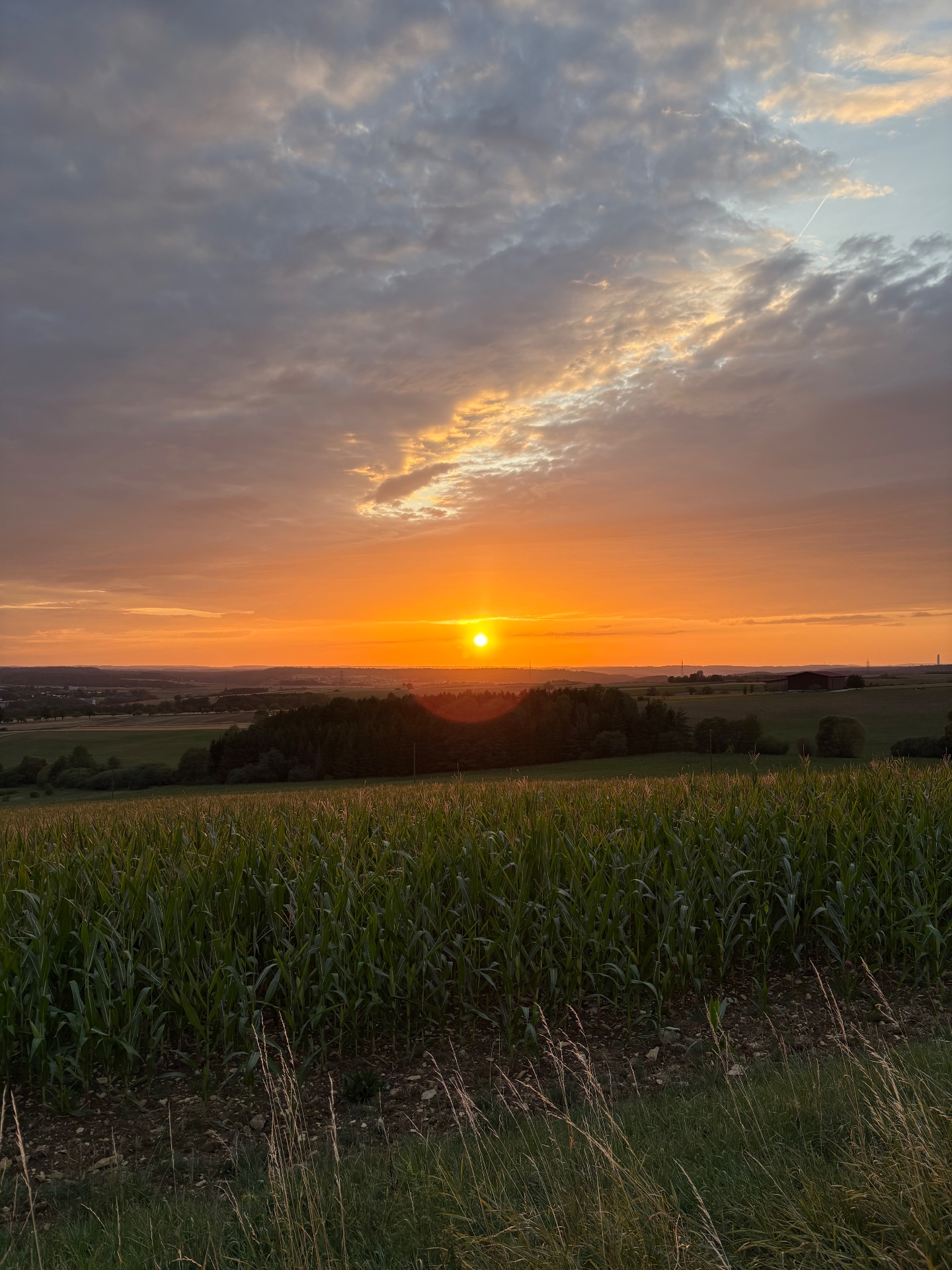 Abendradfahrt bljad